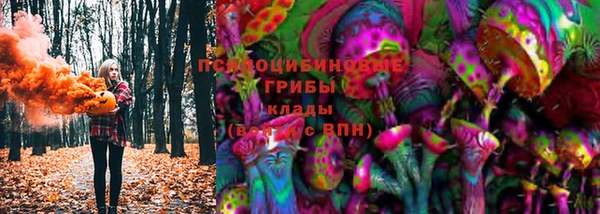 дмт Балахна