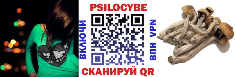 Псилоцибиновые грибы Psilocybine cubensis  Нерюнгри 