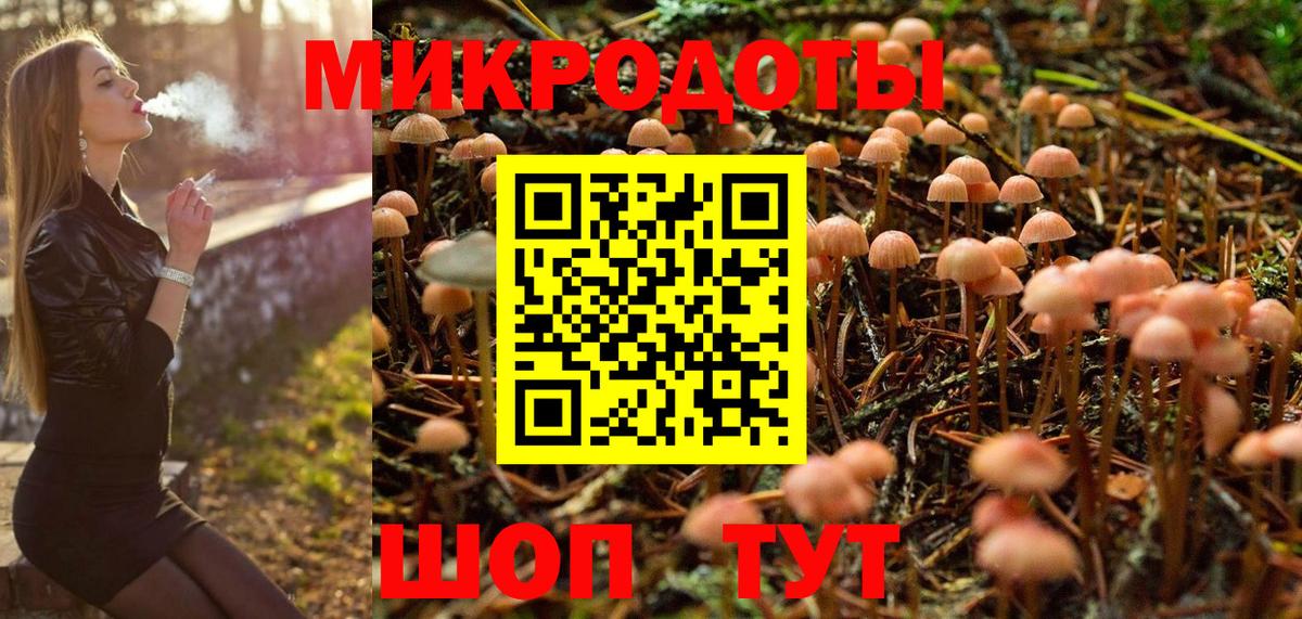 Галлюциногенные грибы Psilocybine cubensis  Вход с VPN  Нерюнгри 